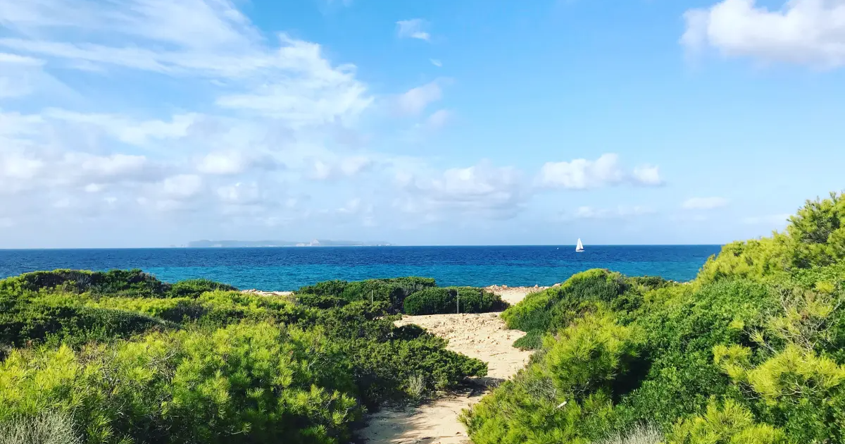 Najlepsze atrakcje na wakacje w Hiszpanii – przewodnik pełen słońca, smaku i przygód